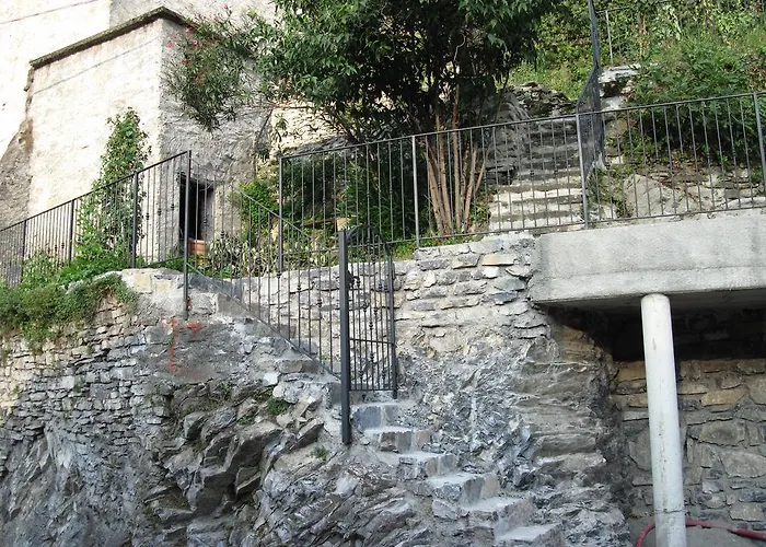 Pinky House Nesso
